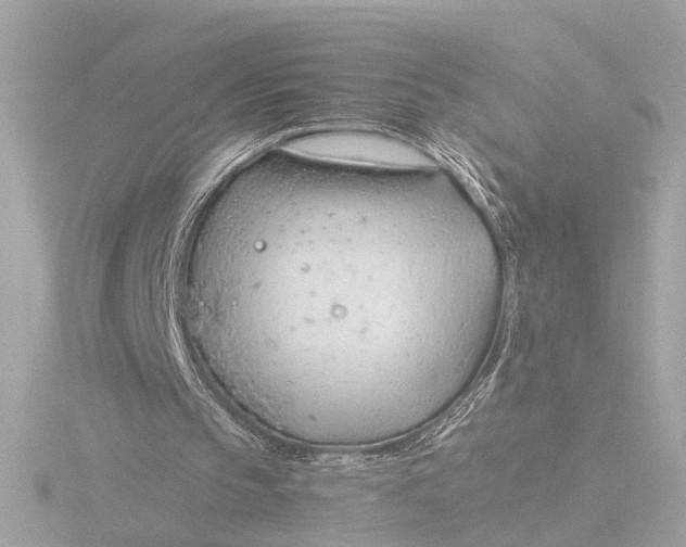 X0000116390145200912231116