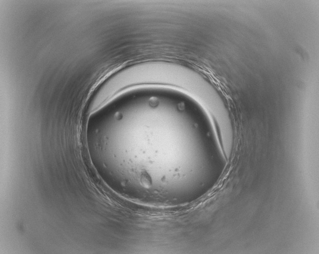 X0000116390146200912231116