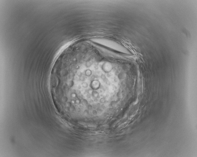 X0000116390147200912231116