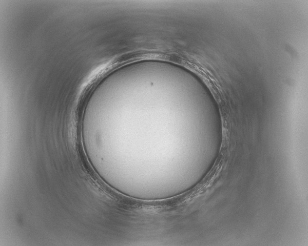 X0000116390149200912231116