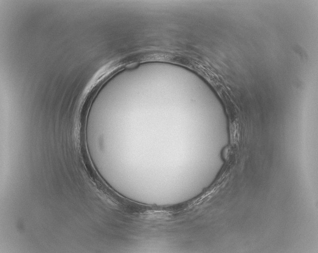 X0000116390150200912231116