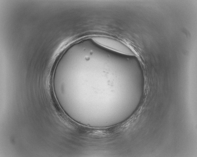 X0000116390151200912231116