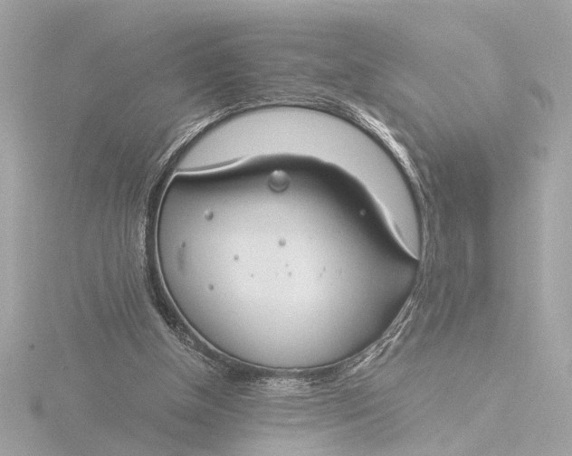 X0000116390154200912231116