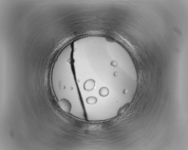 X0000116390155200912231116