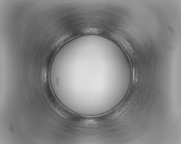 X0000116390157200912231116