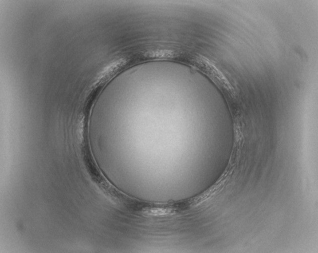 X0000116390163200912231116