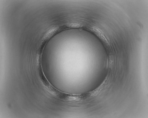 X0000116390167200912231116