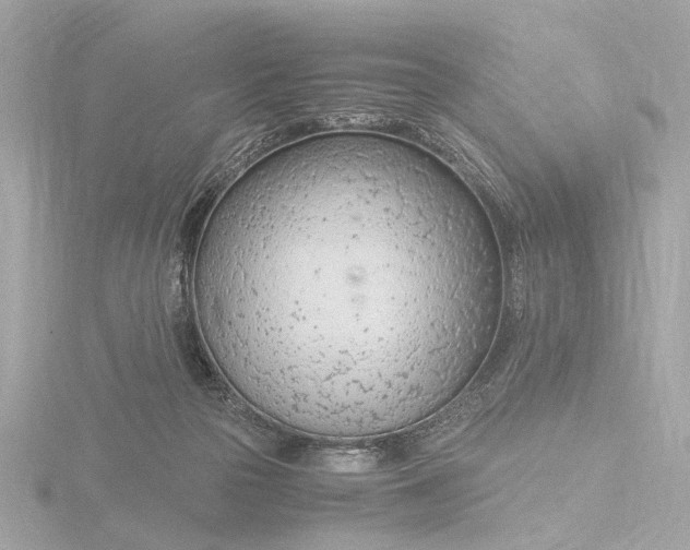 X0000116390169200912231116