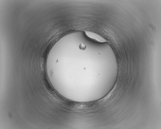 X0000116390174200912231116