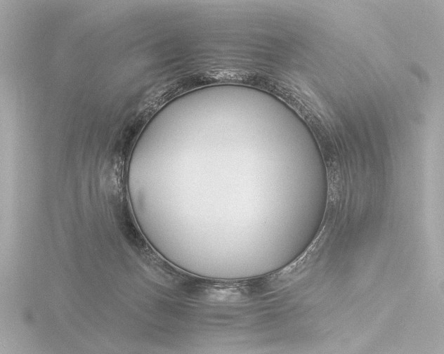 X0000116390175200912231116