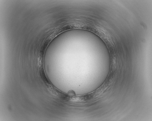 X0000116390177200912231116