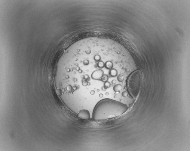 X0000116390178200912231116