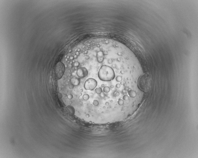 X0000116390179200912231116