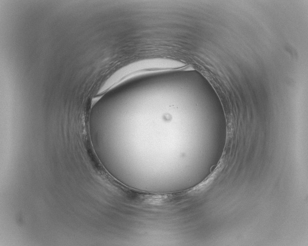 X0000116390182200912231116