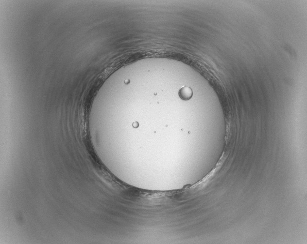 X0000116390186200912231116