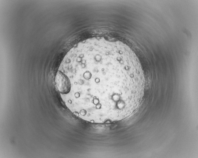 X0000116390187200912231116