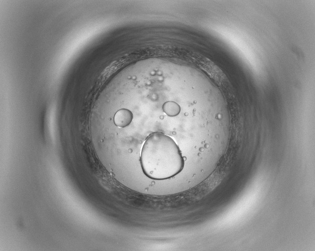 X0000116390189200912231116