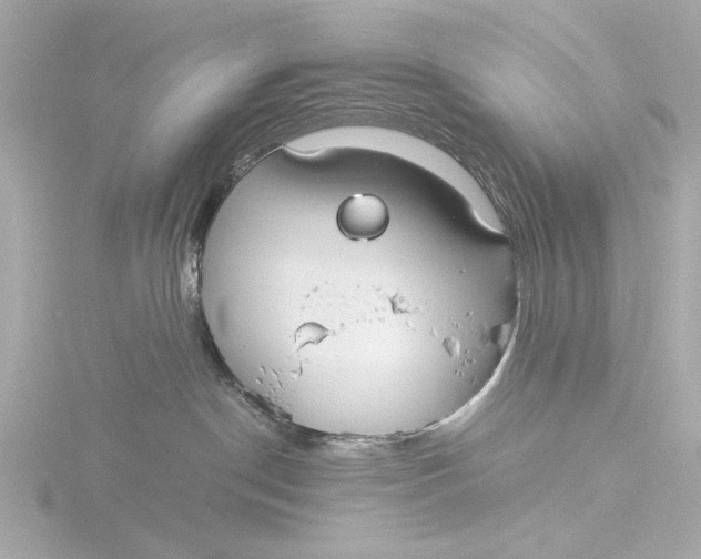 X0000116390190200912231116