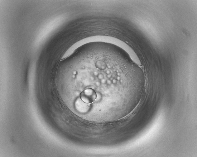 X0000116390191200912231116