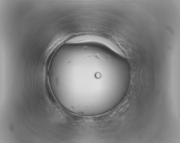 X0000116390194200912231116