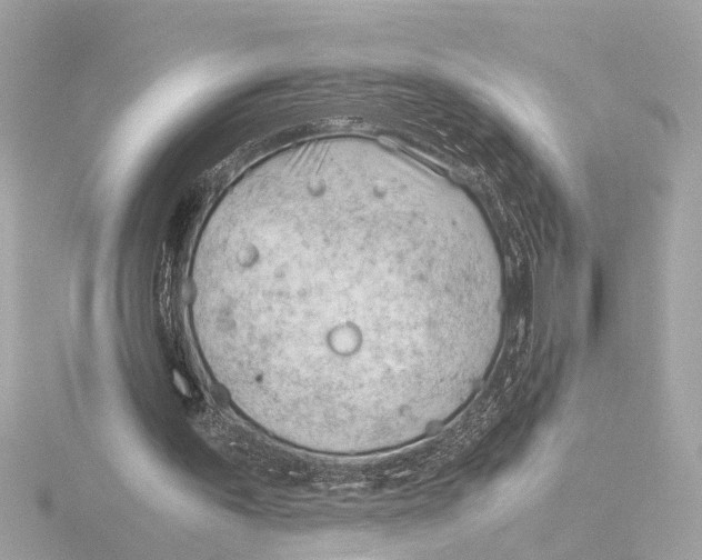 X0000116390195200912231116