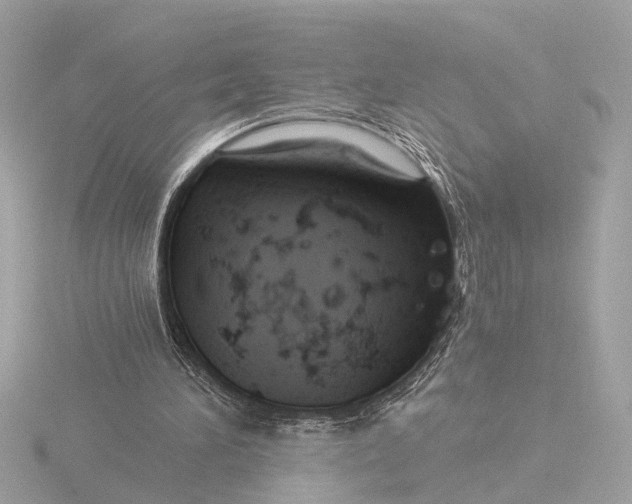 X0000116390196200912231116