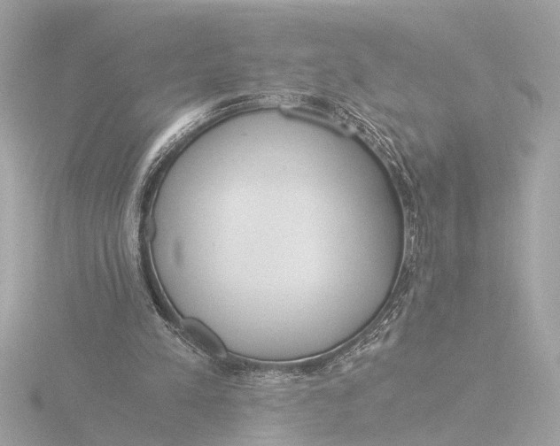 X0000116390197200912231116