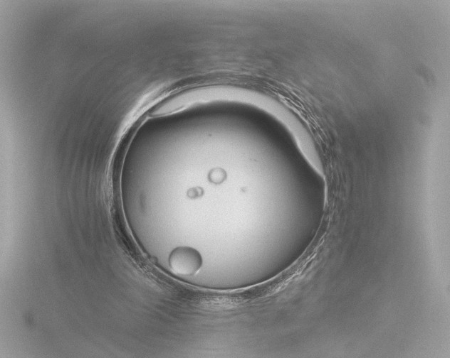 X0000116390198200912231116