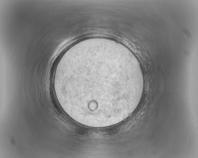 X0000116390199200912231116