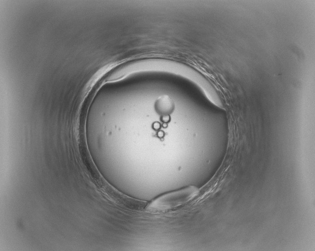 X0000116390200200912231116