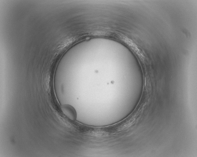 X0000116390201200912231116