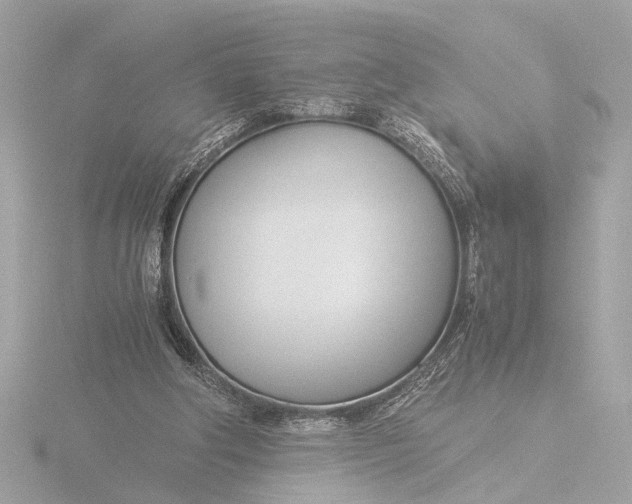 X0000116390202200912231116