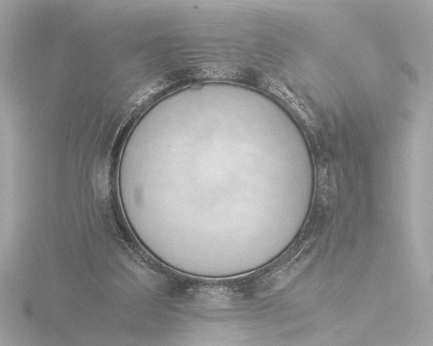 X0000116390203200912231116