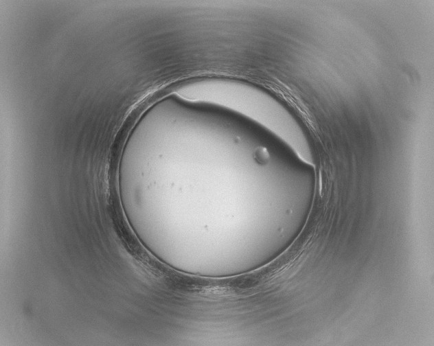 X0000116390204200912231116