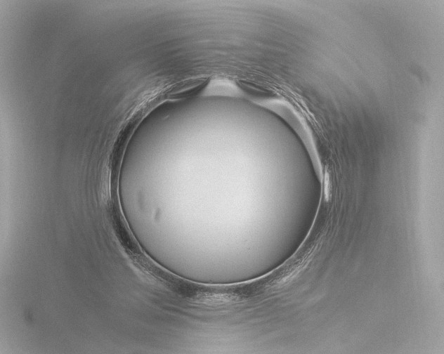 X0000116390205200912231116