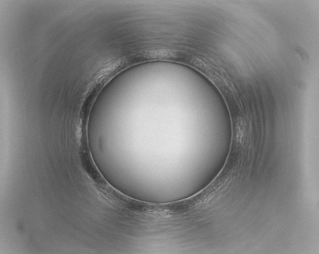 X0000116390206200912231116