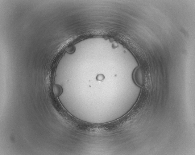 X0000116390208200912231116