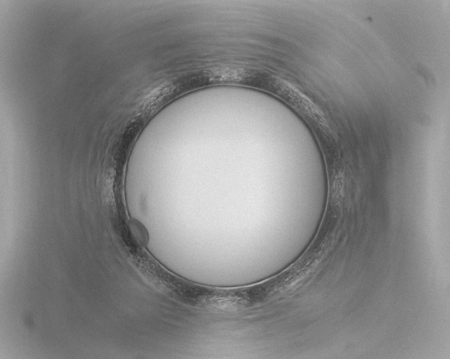 X0000116390209200912231116