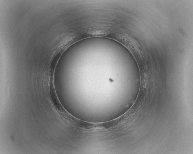 X0000116390210200912231116