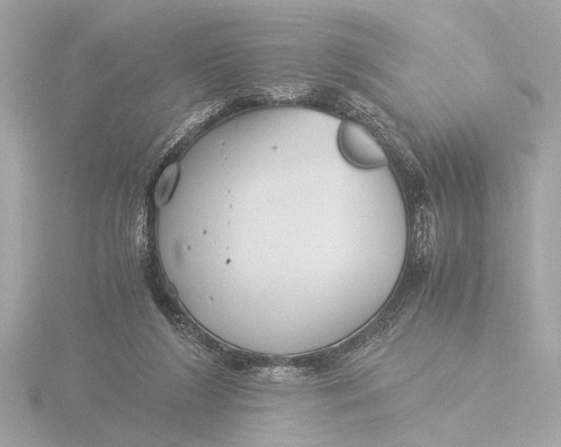 X0000116390212200912231116