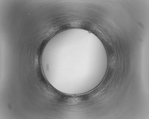 X0000116390213200912231116