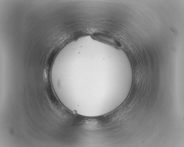 X0000116390214200912231116