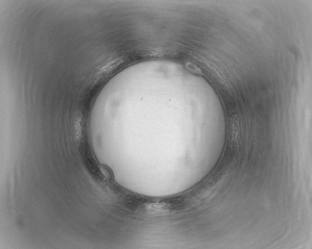 X0000116390216200912231115