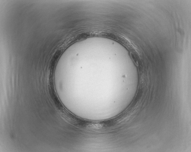 X0000116390217200912231115