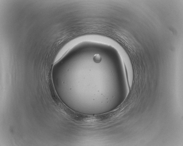 X0000116390219200912231115