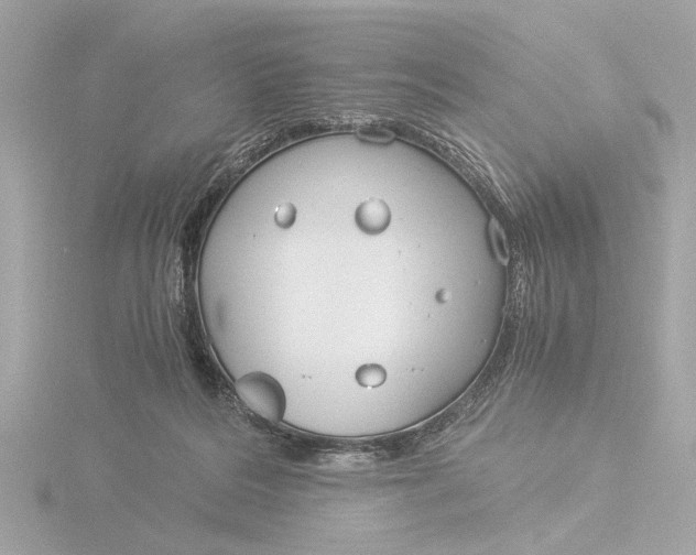 X0000116390220200912231115