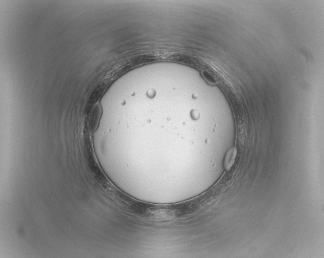 X0000116390221200912231115