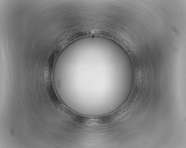 X0000116390222200912231115