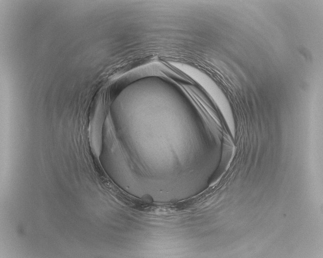 X0000116390223200912231115