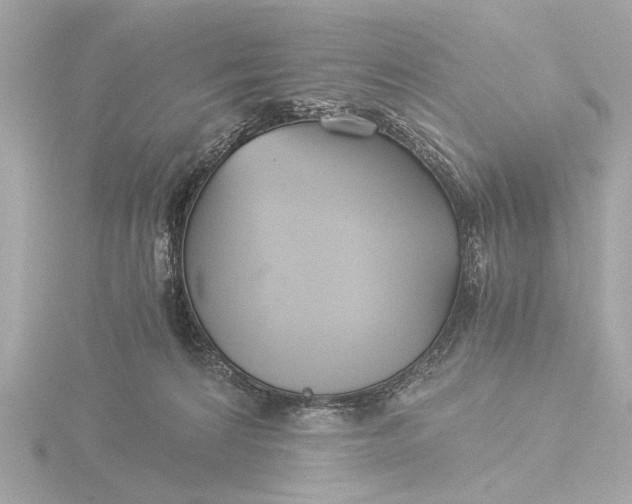 X0000116390224200912231115